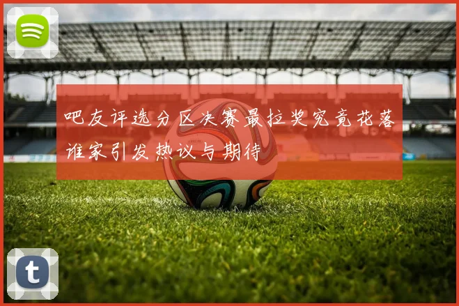 吧友评选分区决赛最拉奖究竟花落谁家引发热议与期待